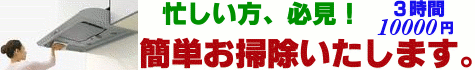 ザックリと、広範囲にわたってお掃除します。